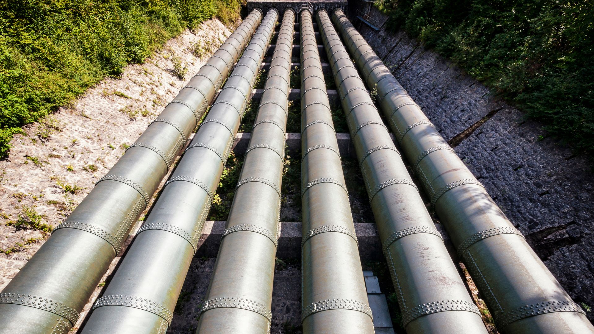 rows of industrial pipes